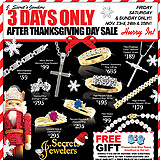 After Thanksgiving Sale Sample Ad