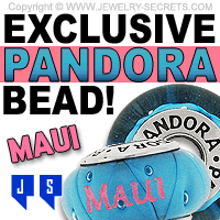 Exclusive Pandora Charm Beads