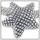 Starfish Bead