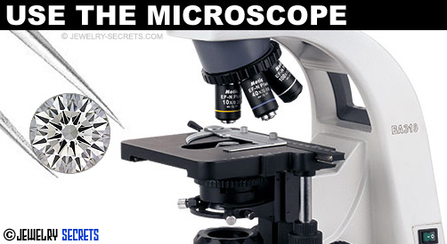 Use The Microscope