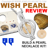 Sea Life Cage Pendant Love Wish Pearl Kit Cultured Pearl Oyster Necklace Kit  | eBay