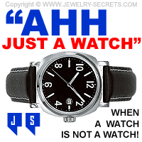 Customer Shopping Just A Watch