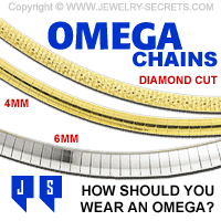 Omega Choker Chain Fit?