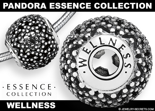 Pandora Bracelet Wellness Essence Collection!