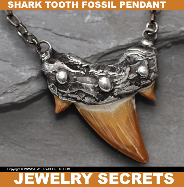 Cool Shark Tooth Fossil Pendant Cool Shark Tooth Fossil Pendant