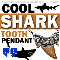 Cool Shark Tooth Pendant