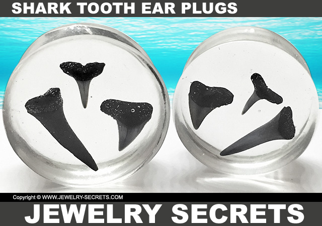 Shark Tooth Ear Plugs Shark Tooth Ear Plugs