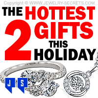 the hottest 2 gifts this holiday