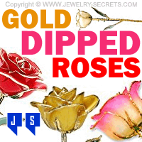 Gold Dipped Roses