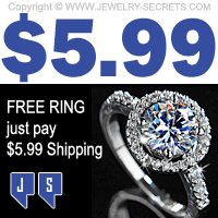 Free Ring Just Pay 599 Shipping