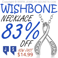Wishbone Necklace 83 Percent Off Today Only