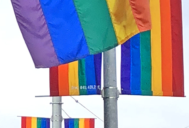 Gay Pride Flags Gay Pride Flags