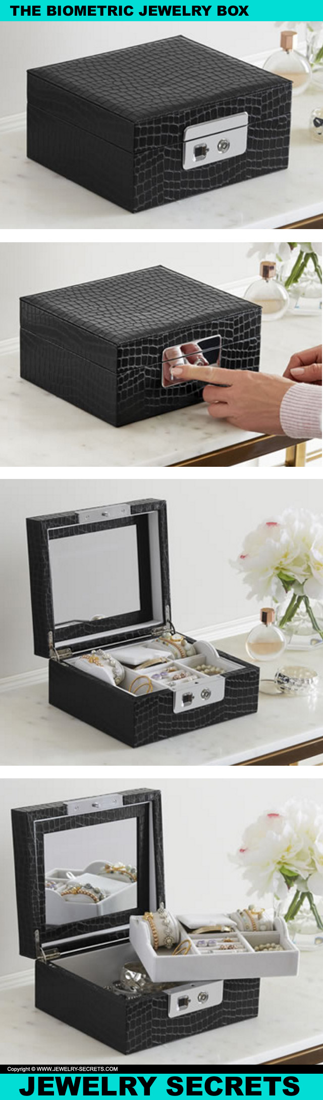 The Biometric Jewelry Box